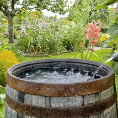 A rain barrel in a garden